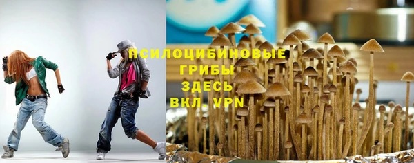 крисы Аркадак