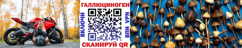 Псилоцибиновые грибы Magic Shrooms  Балабаново 